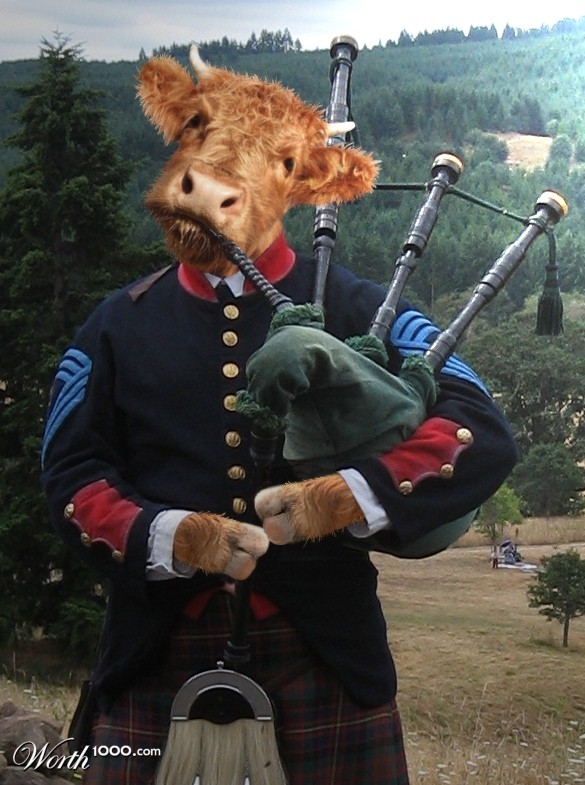 The Highlander