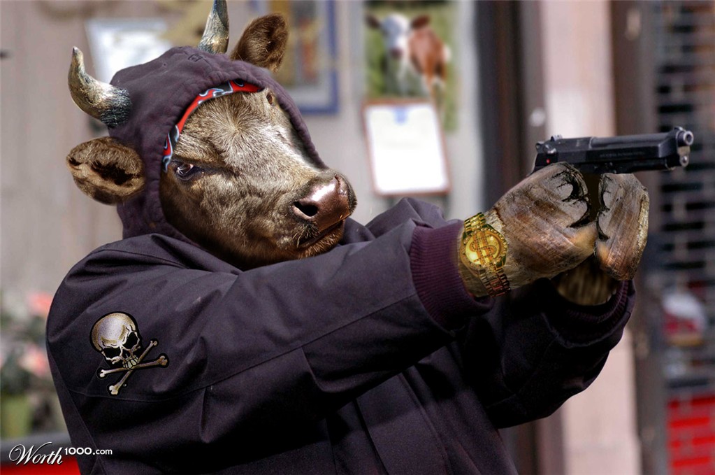 Gangsta Cow