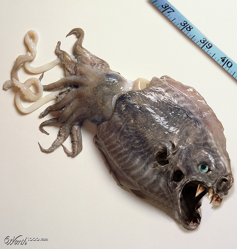 Baby Seamonster