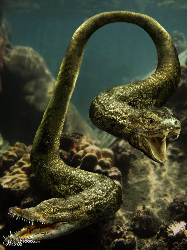 sea monster