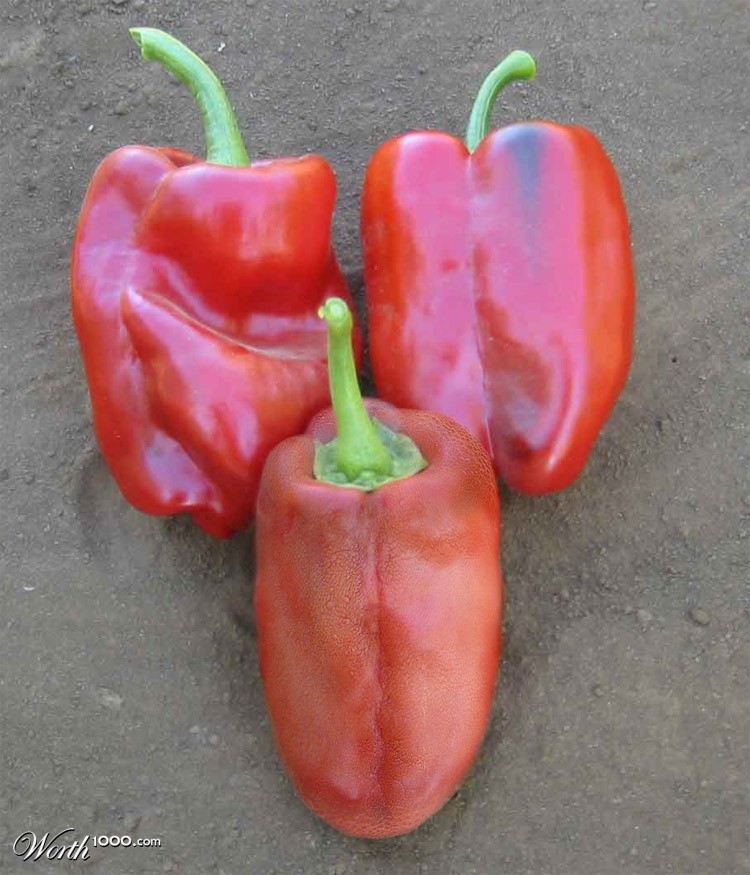 Yes ... It's A Tongue