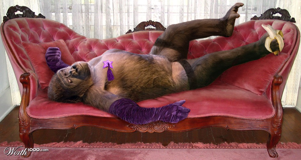 Playmate Primate