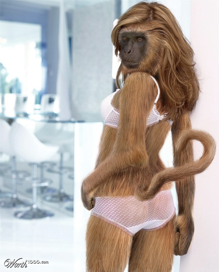 Monkey Magic