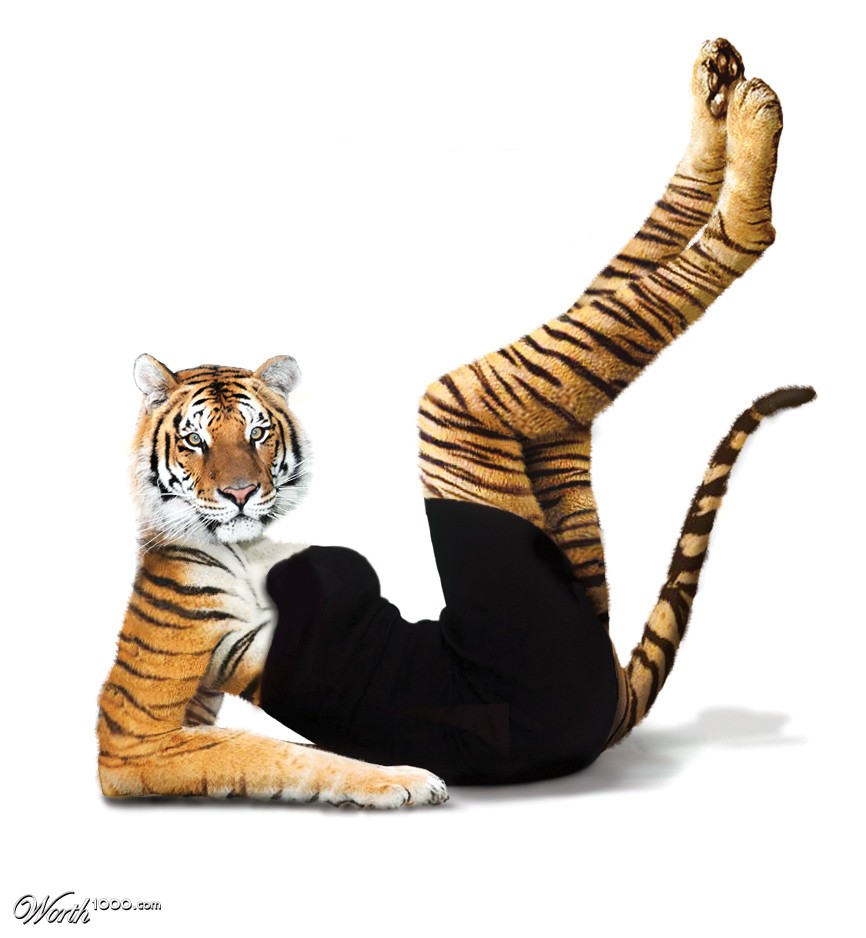 Sex Tiger