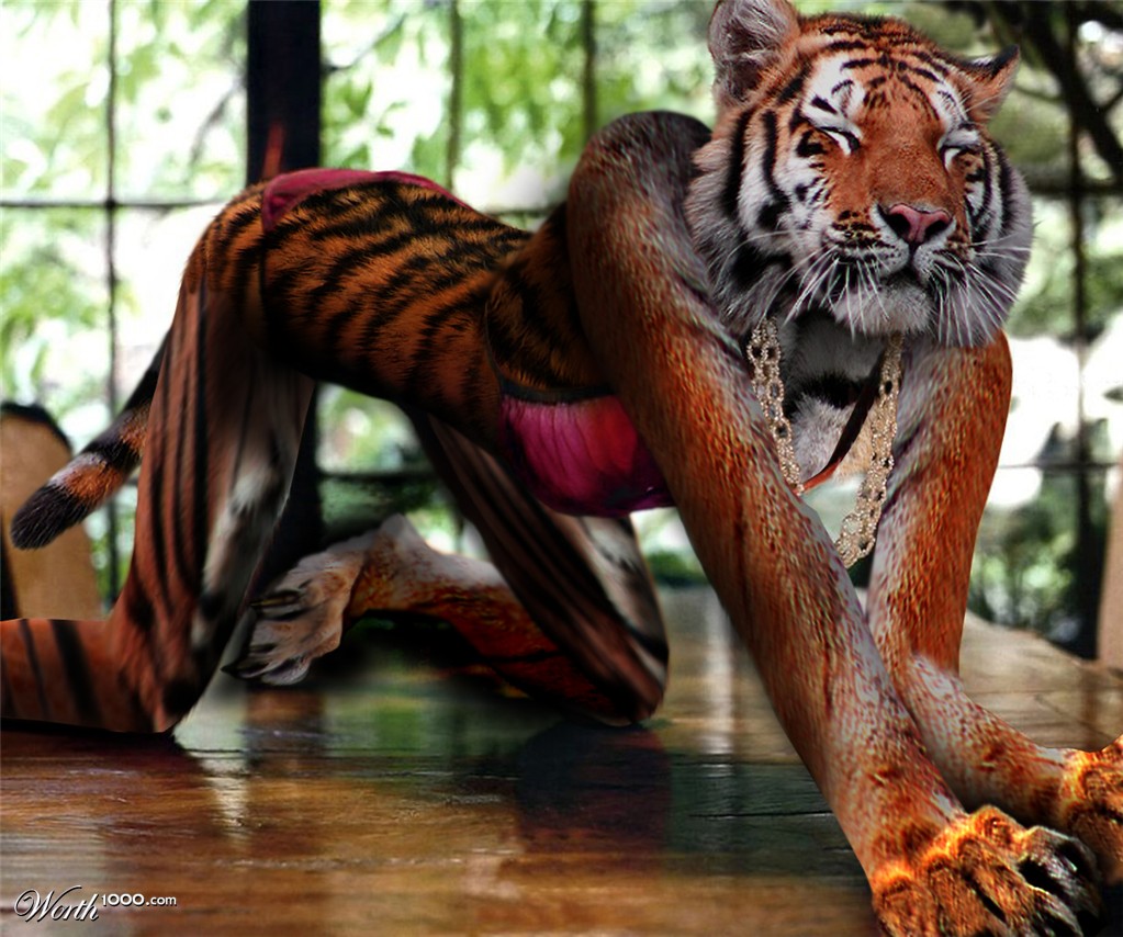tigress