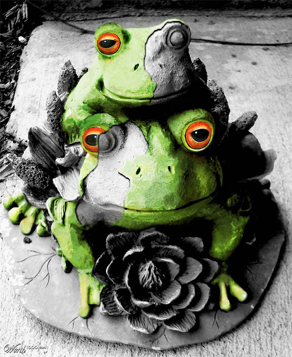 Frogs