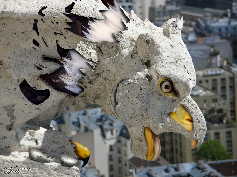 Eagle breaking free