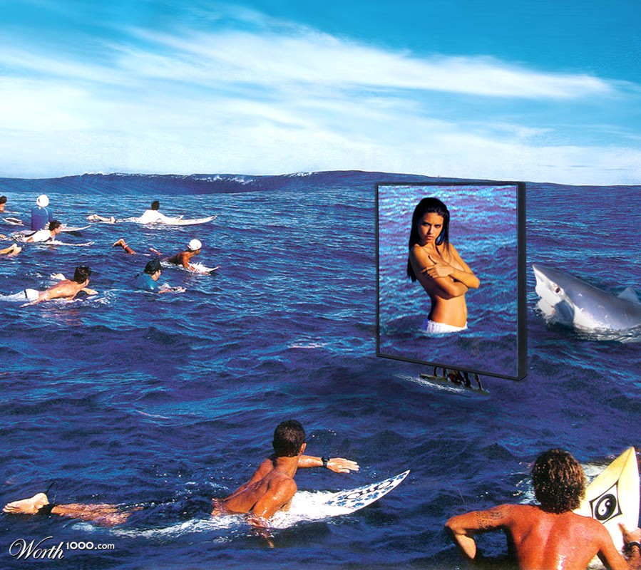 shark bait