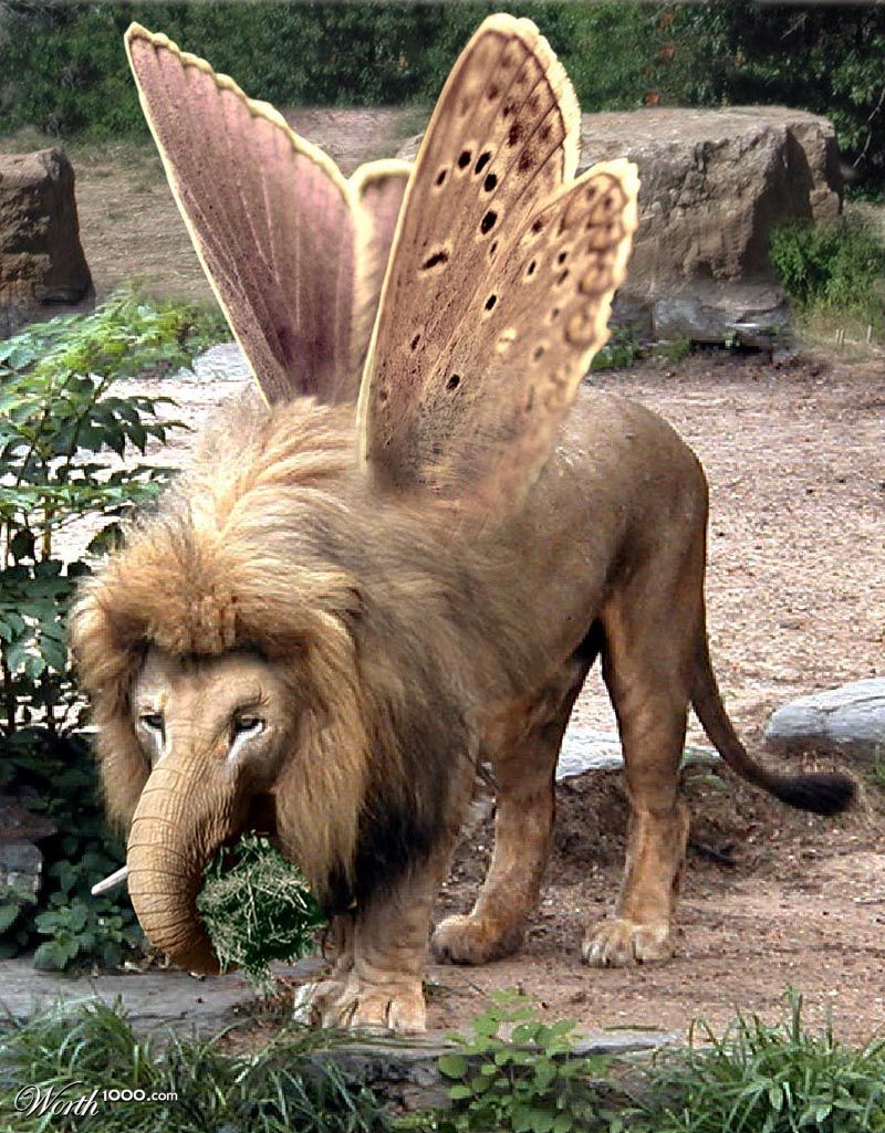 Butterfliophant
