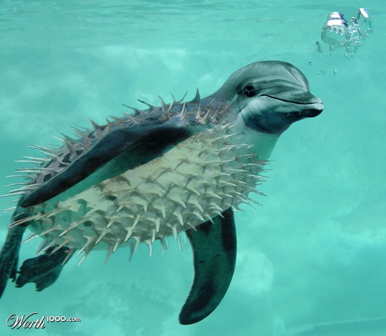 Aquatica
