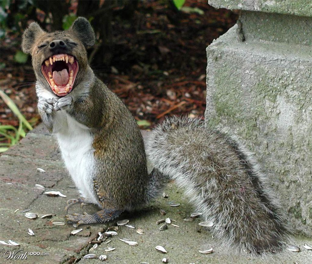 Hyena_Squirrel_Lizard