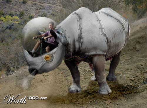 Rhinobot