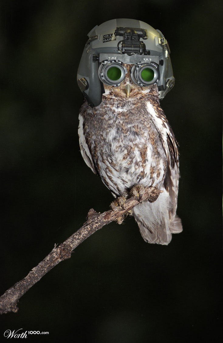 night vision