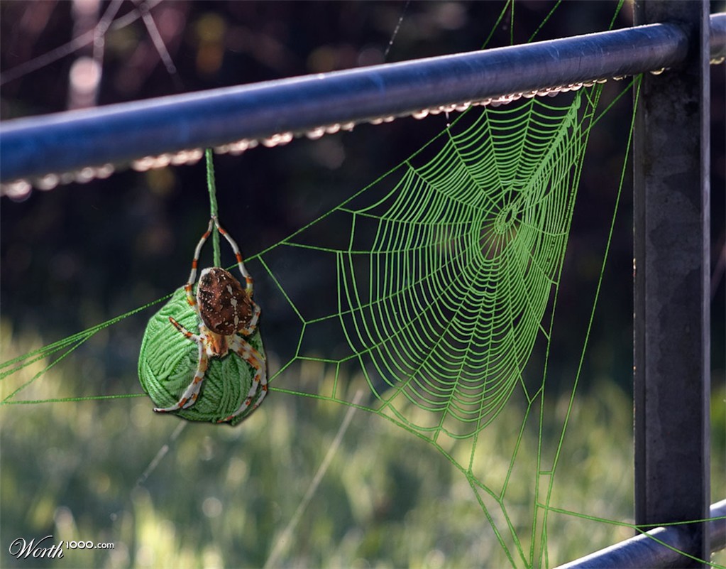 cobweb of wool
