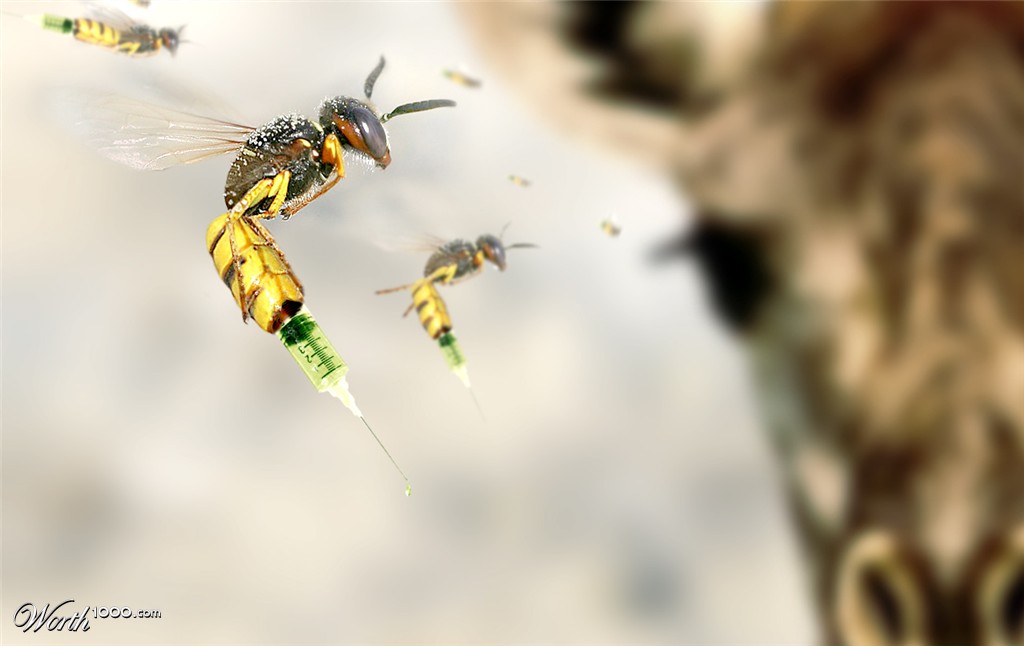 Wasp Syringe