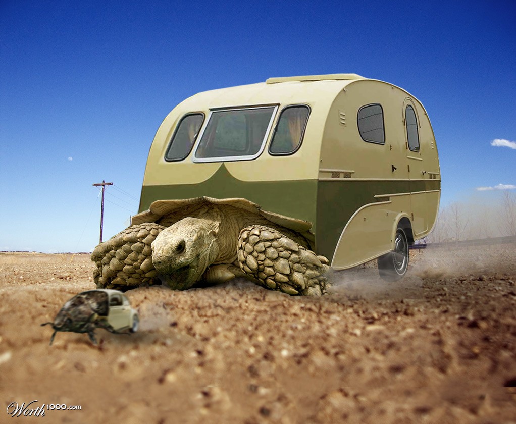 Tortoise trailer
