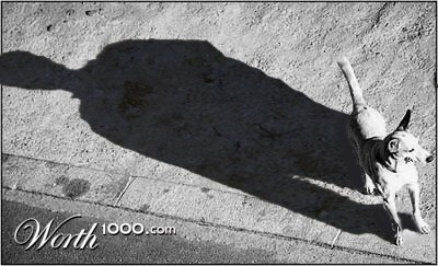 Man or Dog