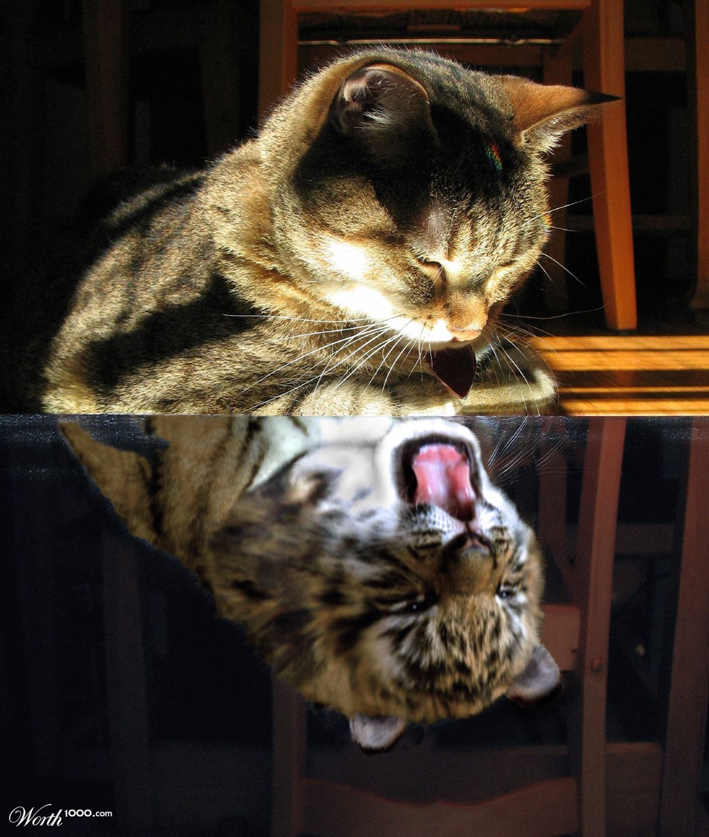 Aspiration