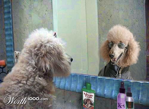 Doggy