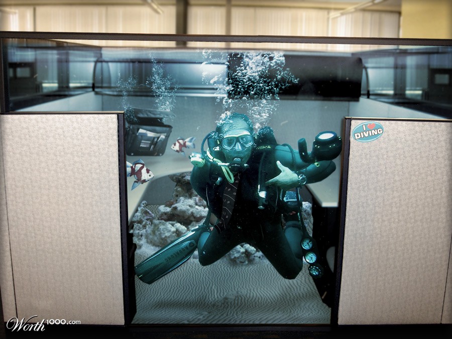 Cubicle Diver