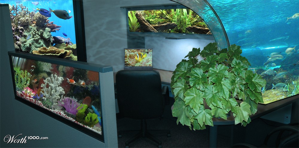 Underwater office