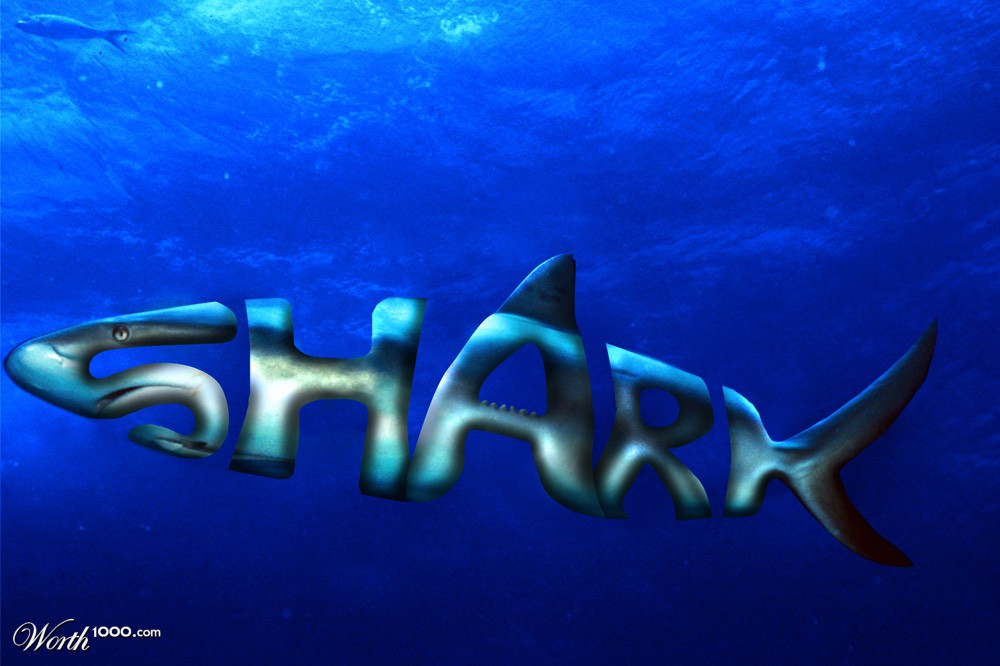 Shark