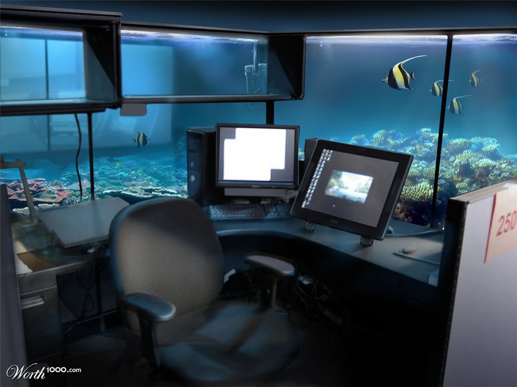 aquarium cubical
