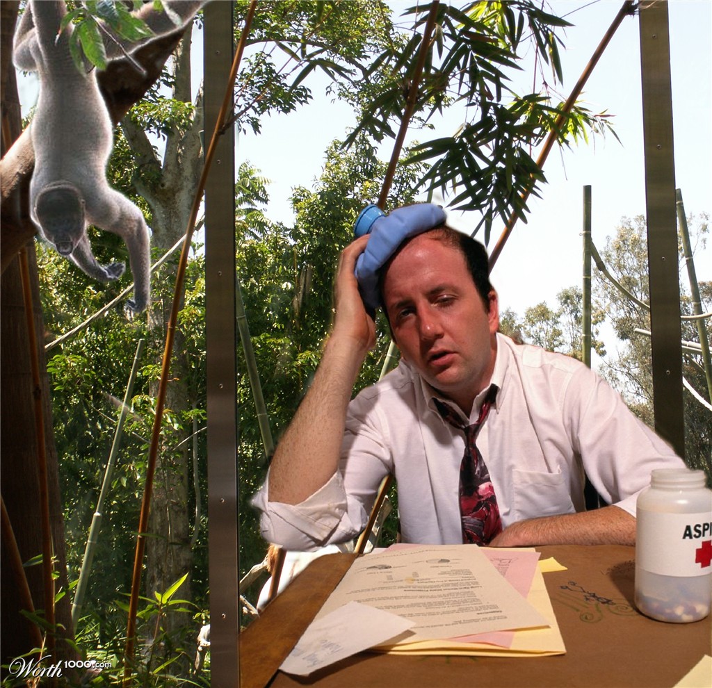 Monkey Manager