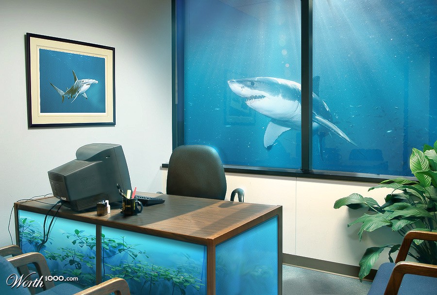 Office Shark