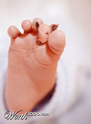 This Lil' Piggy
