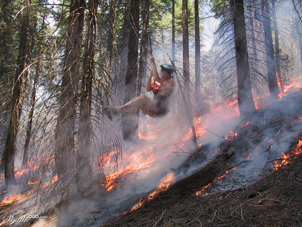 Forestfire Zipline