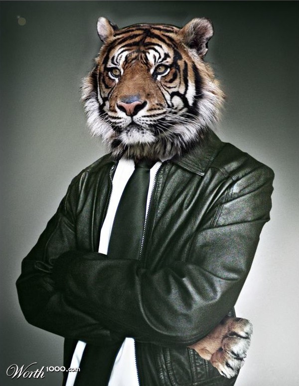 Tiger Star