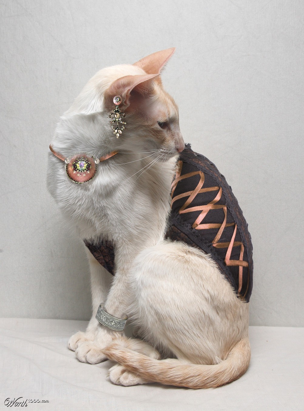 Corsetted Kity