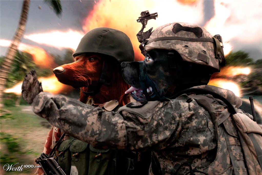 Dogs of War