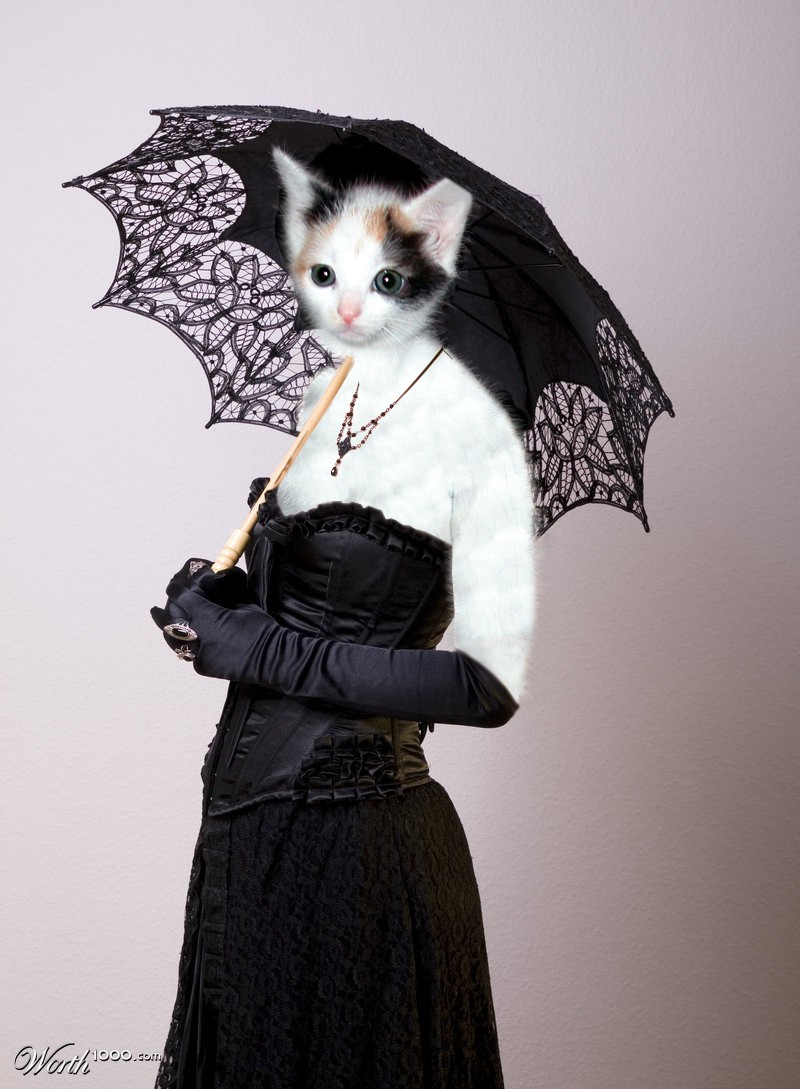 Cat Lady