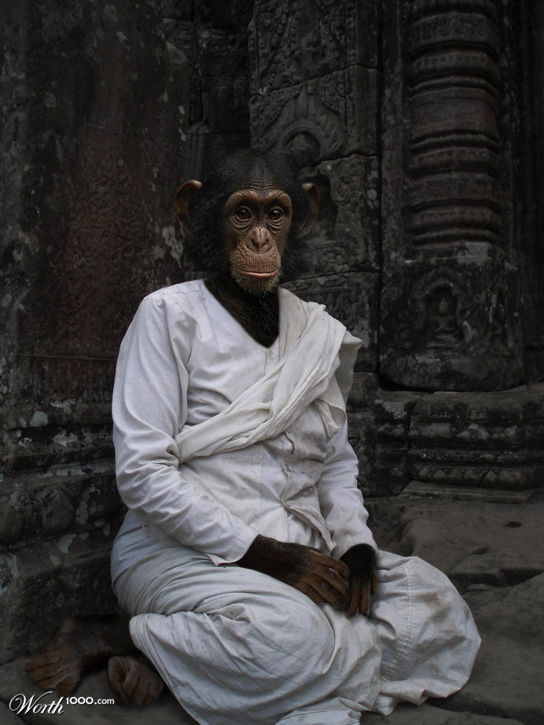Chimp Nun
