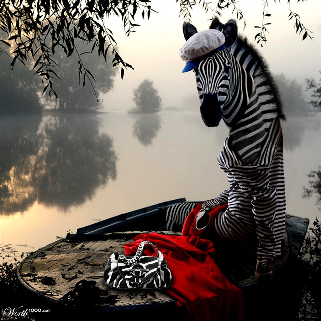 Zebra Babe