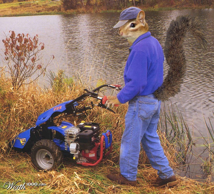 My Lawn Guy "Chip"