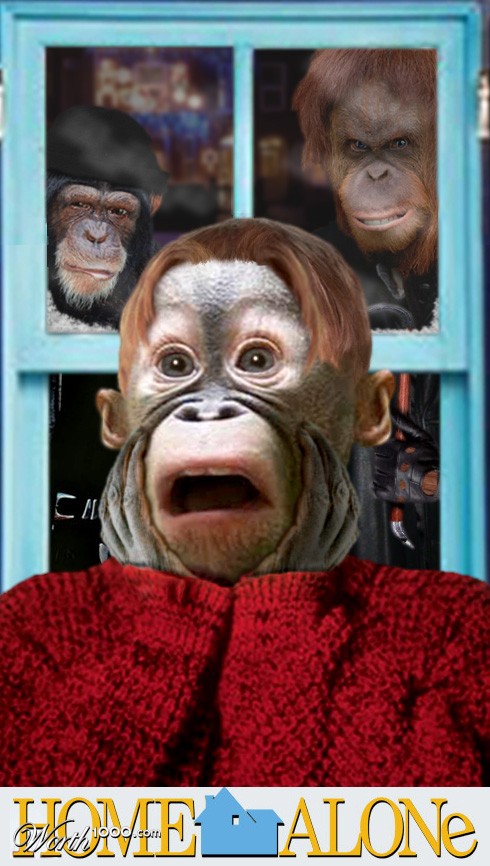Monkey_Alone