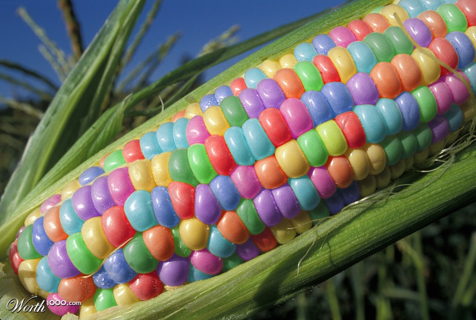 Candy Corn