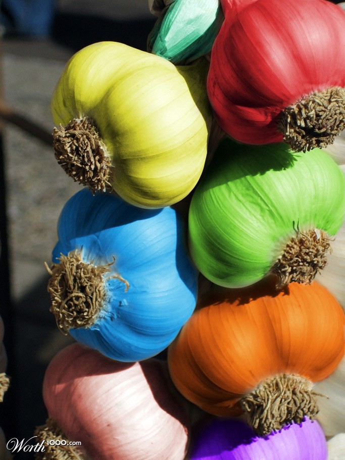 COLOR GARLIC