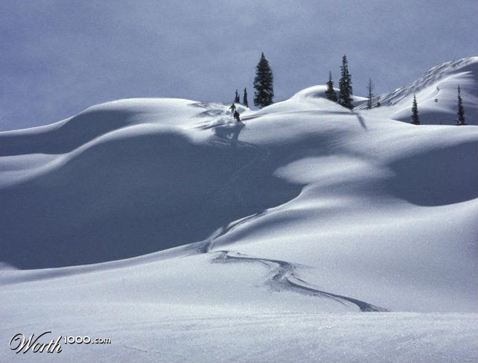 Virgin Snow