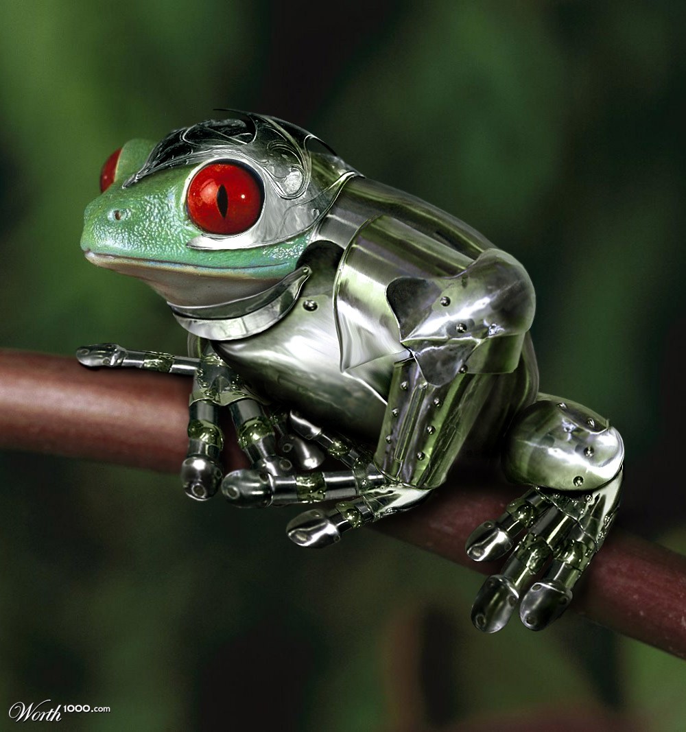 Frog Prince