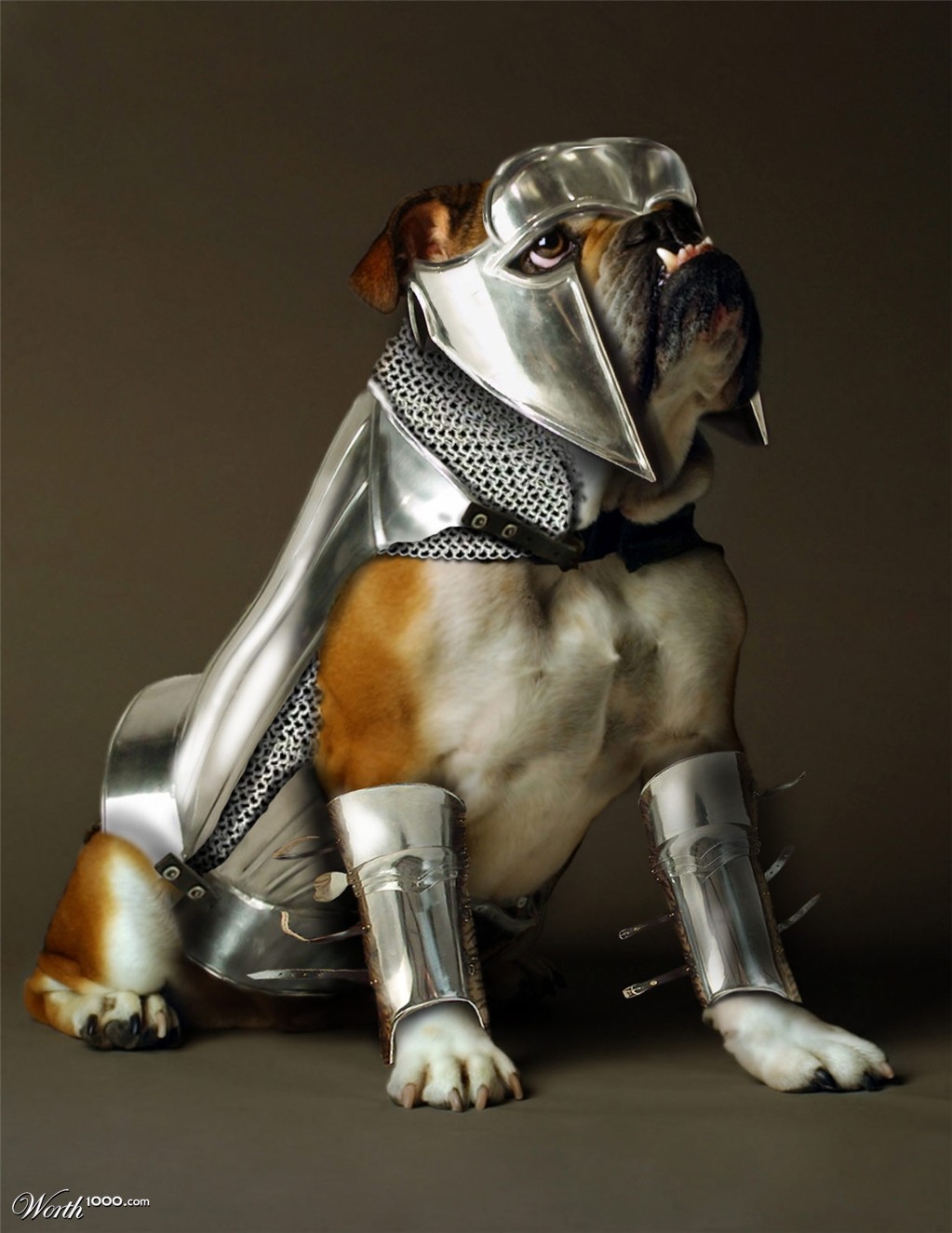 Bulldog Armored
