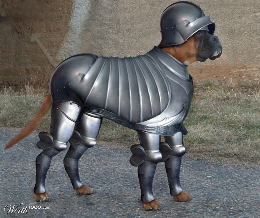 Armored Dog
