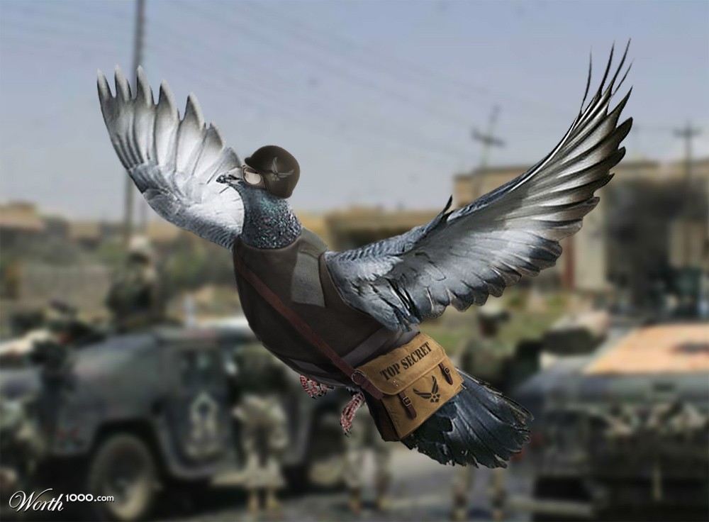 The Messenger