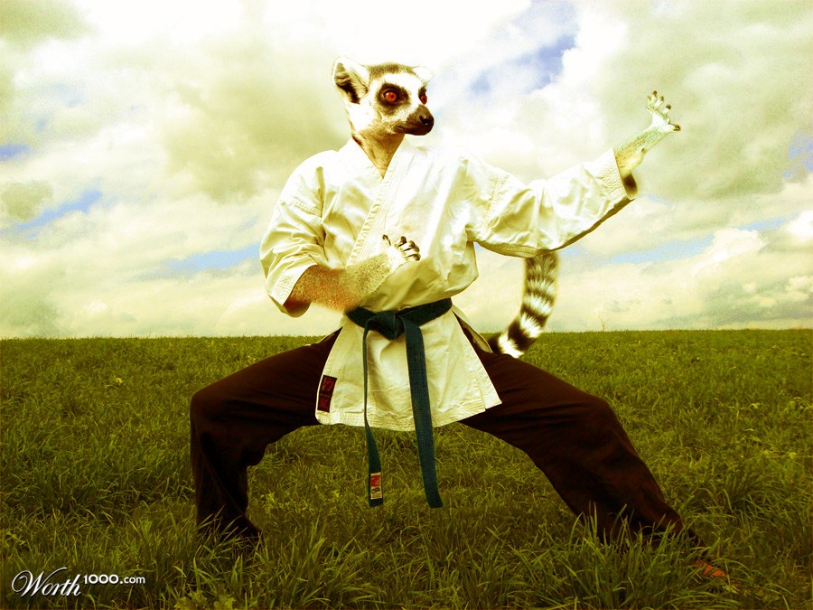 Karate lemur