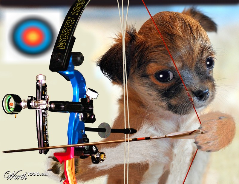 Archery