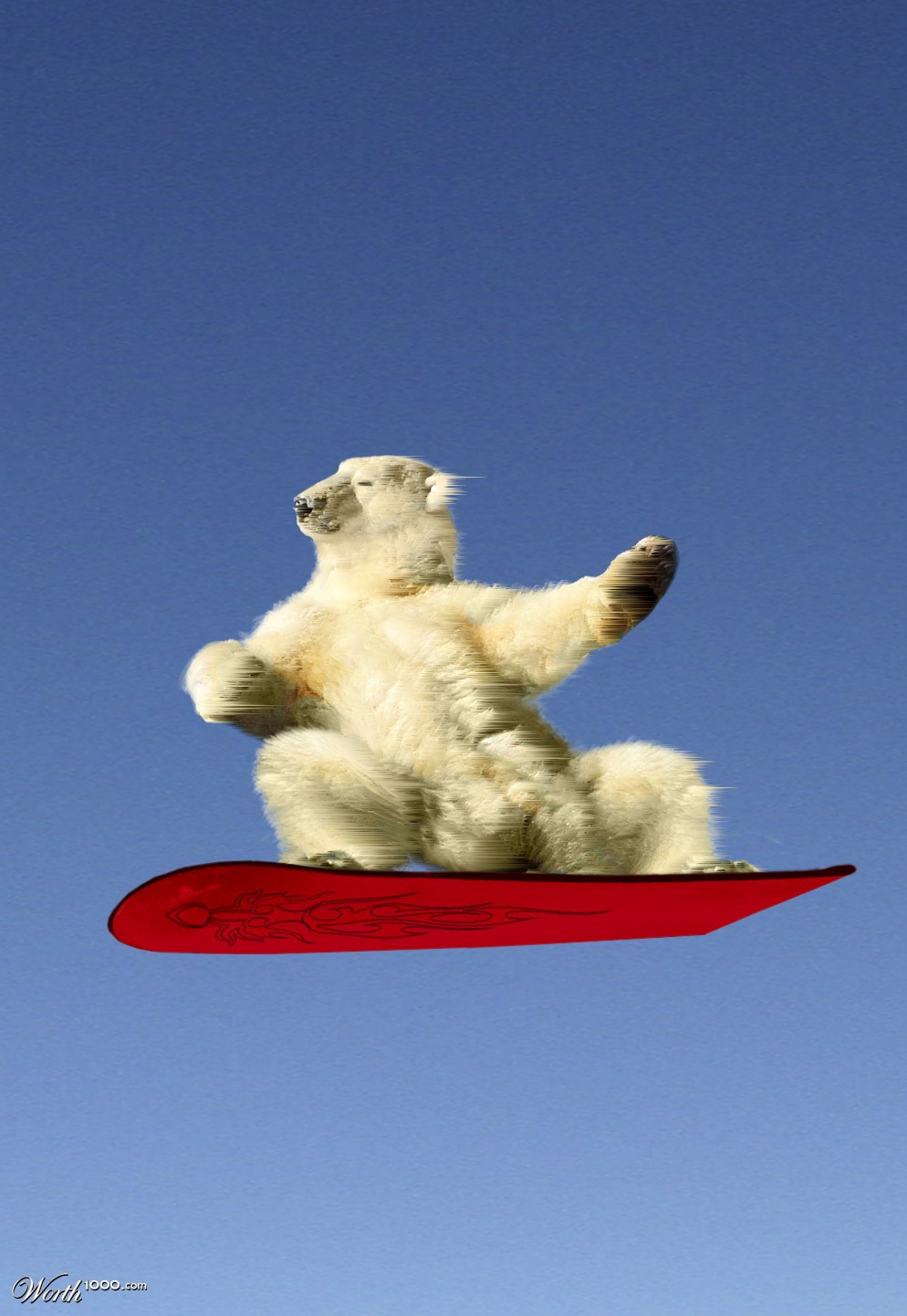 BEAR BOARDING