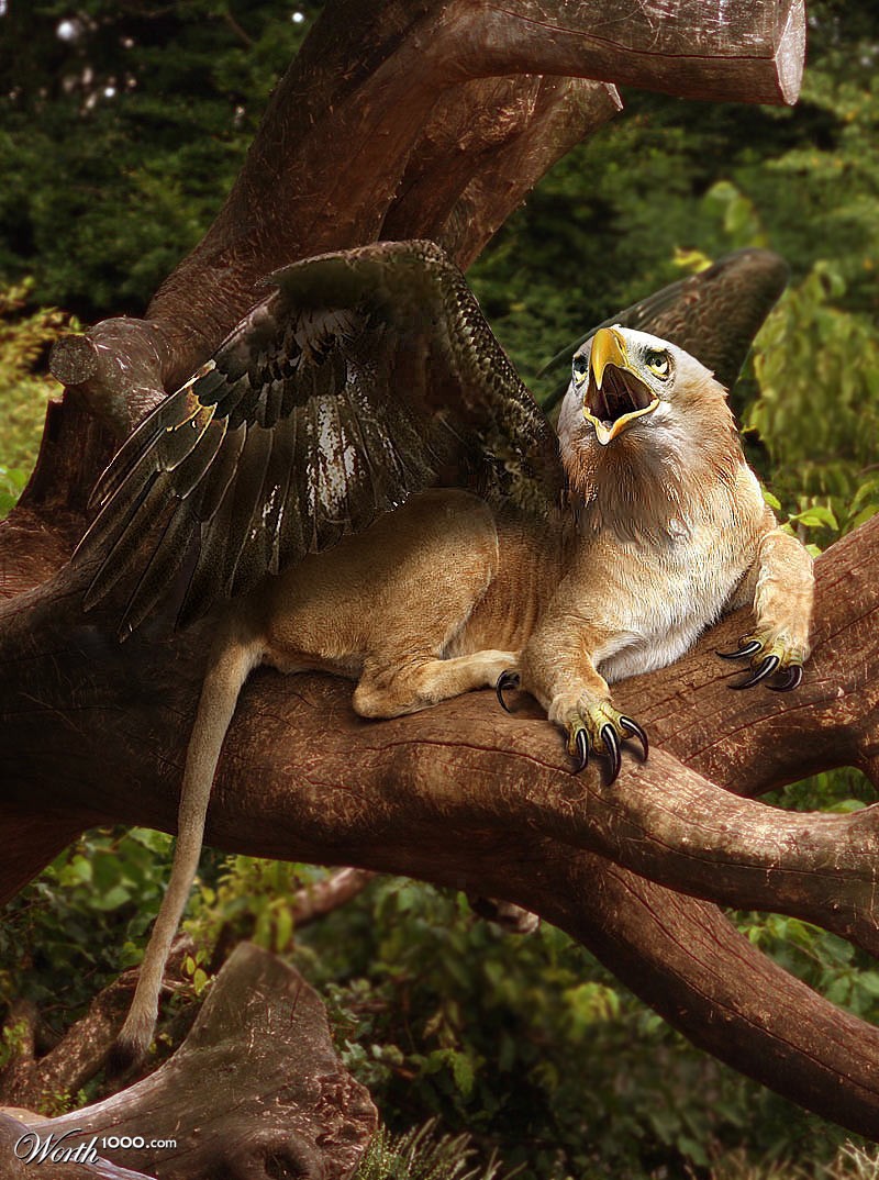 Griffin